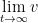lim_(t->infinity) v
